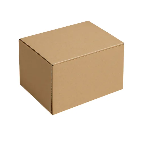 Packaging – Carton Box