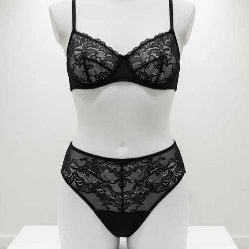 Lace Brief – Delicate Elegance by Wholesale Briefs for Women