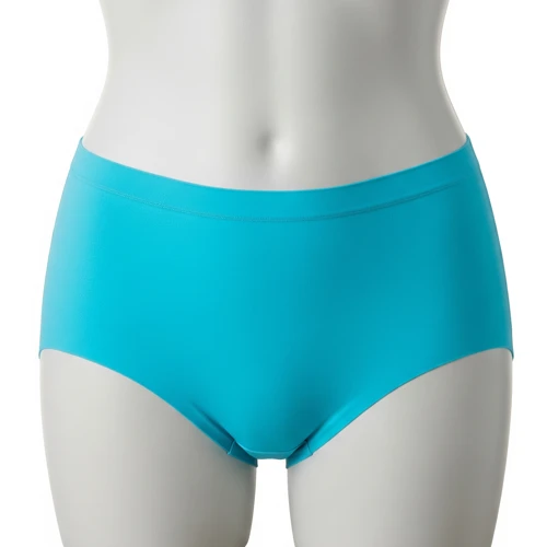 Seamless Briefs – Invisible Fit by Wholesale Briefs for Women