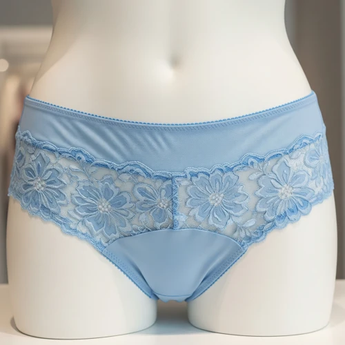 Cheeky Briefs – Stylish Essentials from Wholesale Briefs for Women