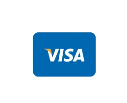 Visa payment icon used for international card-based transactions.