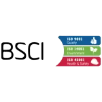 BSCI monitoring certification logo for social compliance auditing at RYZEAL Sourcing.